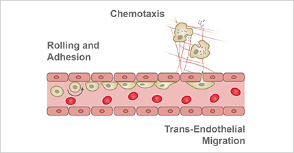 image_06.png